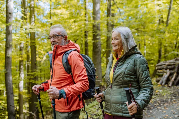 Glückliches Seniorenpaar Wandert Herbstlicher Natur — Stockfoto