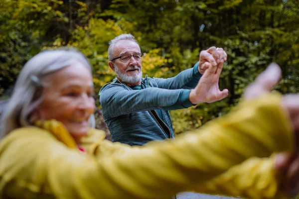 Seniorenpaar Macht Stretching Beim Wandern Herbstwald — Stockfoto