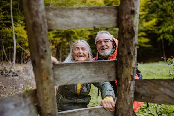 Feliz Pareja Ancianos Escalando Caza Asiento Alto Bosque — Foto de Stock