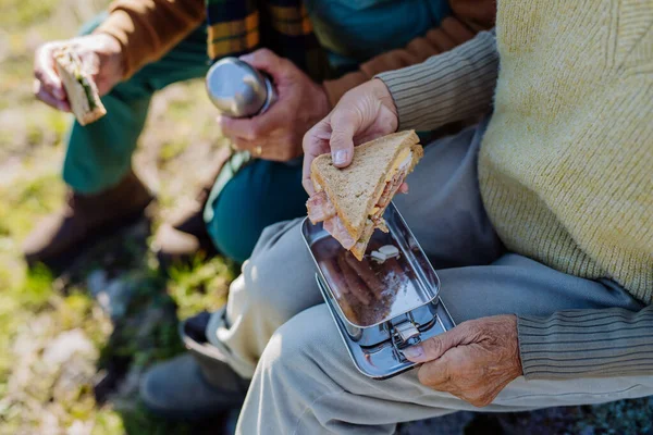 Detailní Záběr Oběda Seniorů Během Podzimní Procházky — Stock fotografie