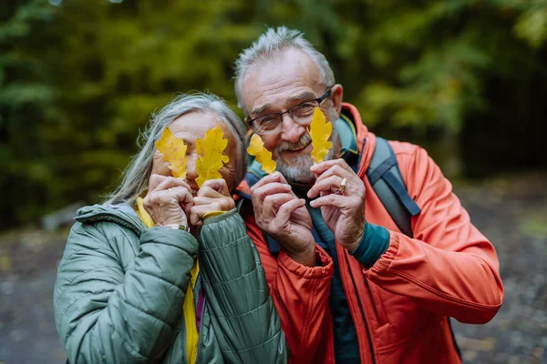 Porträt Eines Glücklichen Seniorenpaares Mit Herbstlaub Wald — Stockfoto