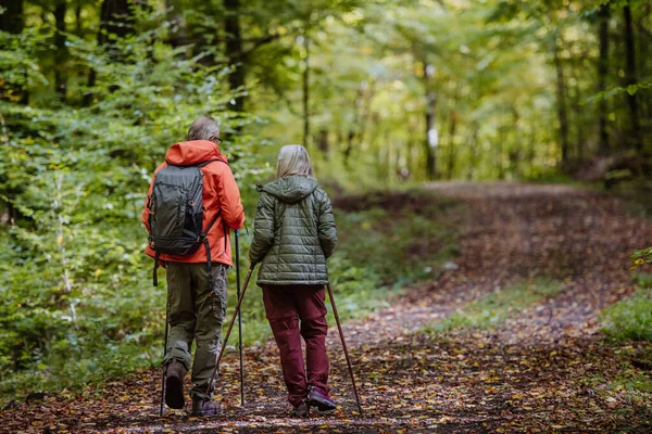 Rückansicht Seniorenpaar Wandert Herbstlicher Natur — Stockfoto