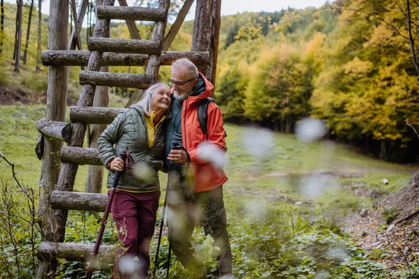 Šťastný Starší Pár Procházky Podzimním Lese Blízkosti Lovu Vysoké Sedadlo — Stock fotografie