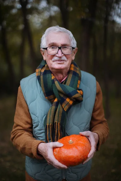 Uomo Anziano Con Zucche Nella Natura Autunnale — Foto Stock