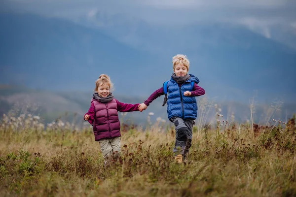 Küçük Çocuklar Ele Tutuşup Sonbahar Otlaklarında Koşuyorlar — Stok fotoğraf