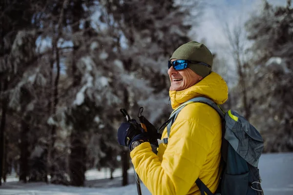 Senior Man Beundrar Naturen Längdskidåkning Skogen — Stockfoto