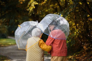 Yaşlı bir çiftin parkta şemsiyelerle yürüdüğünü görüyor musun?.