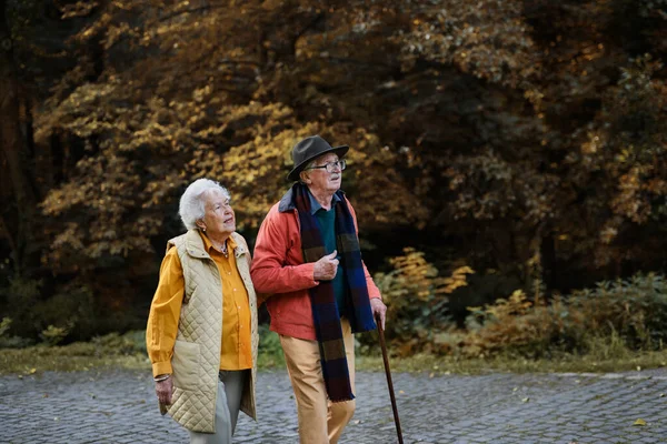 Felice Coppia Anziana Abiti Autunnali Passeggiando Nel Parco Insieme — Foto Stock