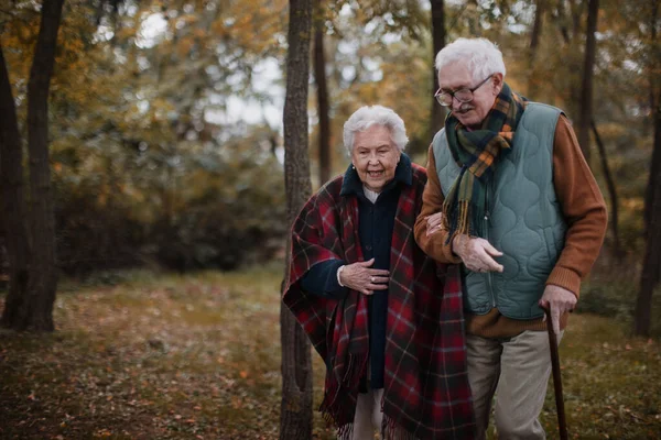 Seniorenpaar Wandert Gemeinsam Der Herbstlichen Natur — Stockfoto