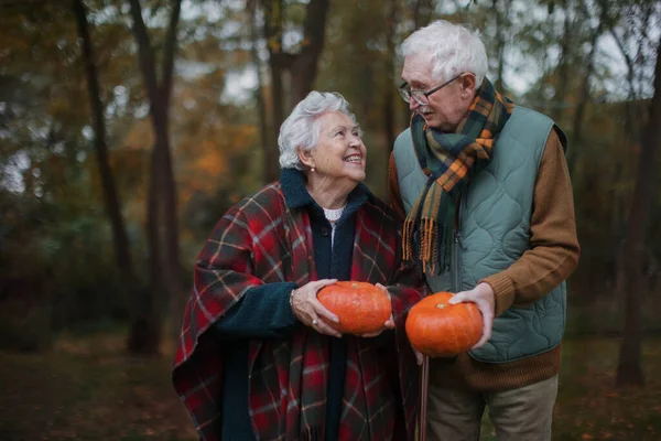 Seniorenpaar Mit Kürbissen Der Herbstlichen Natur — Stockfoto
