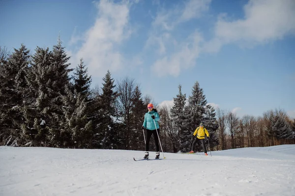 Senior Koppel Skiën Samen Het Midden Van Besneeuwde Bos — Stockfoto