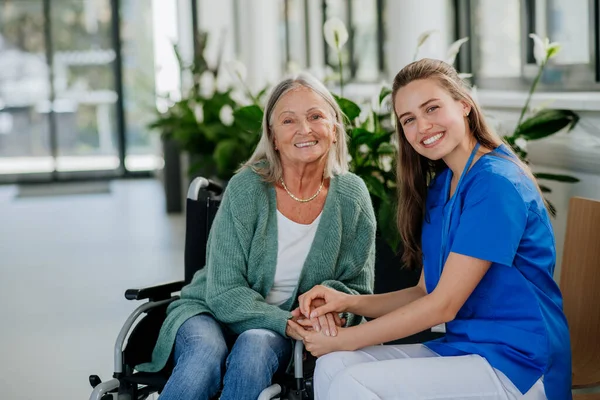 Young Woman Doctor Taking Care Senior Woman Wheelchair — Stock Photo, Image