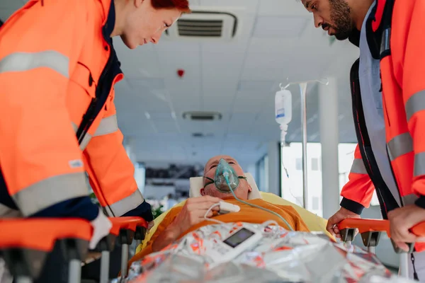 Salvatorii Care Grijă Pacient Dintr Ambulanță — Fotografie, imagine de stoc