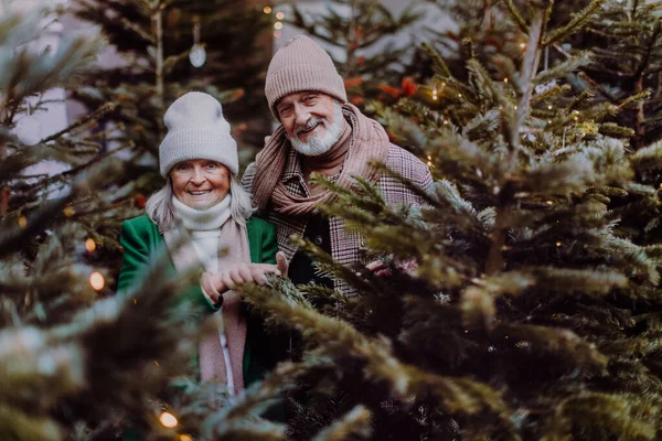 Szczęśliwa Para Seniorów Korzystających Odkryty Rynek Bożego Narodzenia Kupując Choinkę — Zdjęcie stockowe