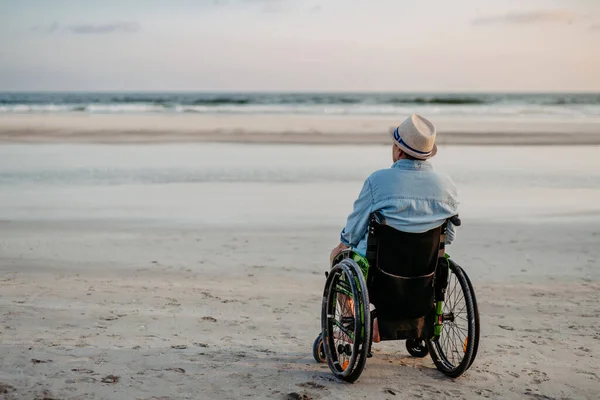 車椅子に座って海で景色を楽しむ男の後部ビュー — ストック写真