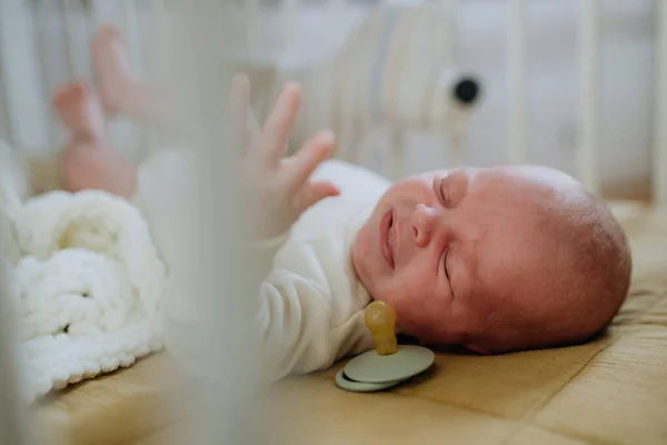 小さなベッドの中で新生児の高い角度ビュー — ストック写真