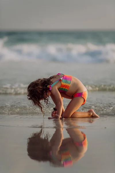 Little Girl Looking Shells Beach Enjoying Exotic Vacation — Fotografia de Stock