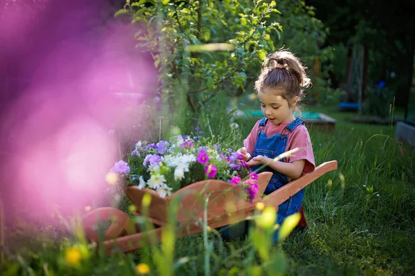 Dívka Dřevěným Kolečkem Plným Květin Jejich Zahradě — Stock fotografie