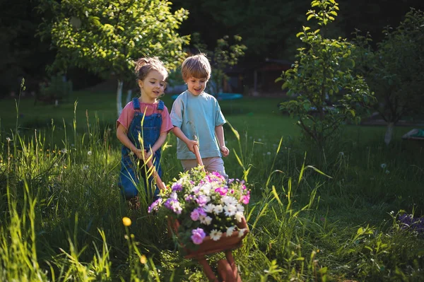 Bahçelerinde Çiçeklerle Dolu Ahşap Arabası Olan Küçük Kardeşler — Stok fotoğraf