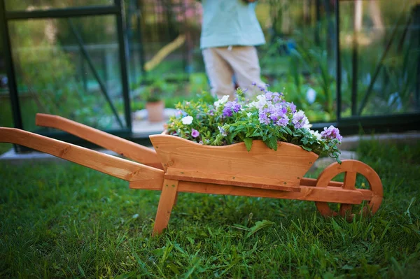 Close Wooden Wheelbarrow Full Flowers Little Boy Standing Background — Stock Photo, Image