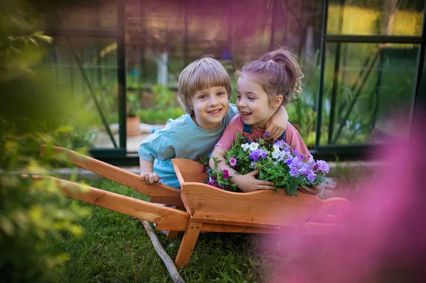 Bahçelerinde Çiçeklerle Dolu Ahşap Arabası Olan Küçük Kardeşler — Stok fotoğraf