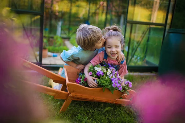 Petits Frères Sœurs Avec Brouette Bois Pleine Fleurs Dans Leur — Photo