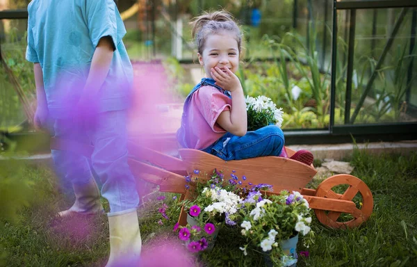 Małe Dzieci Bawiące Się Drewnianą Taczką Pełną Kwiatów Ogrodzie — Zdjęcie stockowe