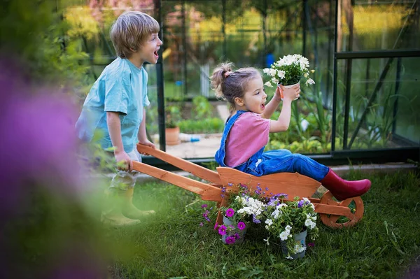 Маленькие Дети Играют Деревянной Тачкой Полной Цветов Саду — стоковое фото