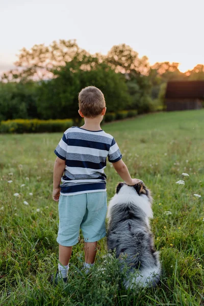 Little Menino Com Seu Cão Natureza — Fotografia de Stock