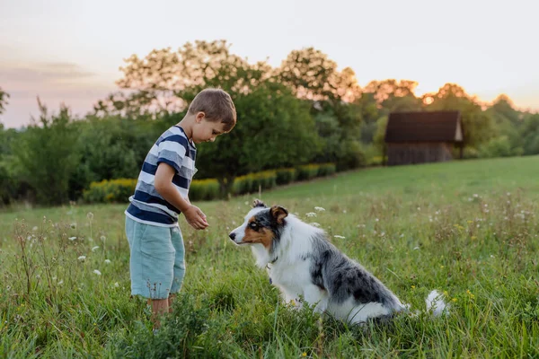 Küçük Çocuk Köpeği Doğada — Stok fotoğraf