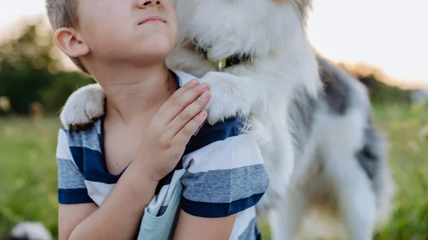 Kleine Jongen Met Hond Buiten Picknick — Stockfoto
