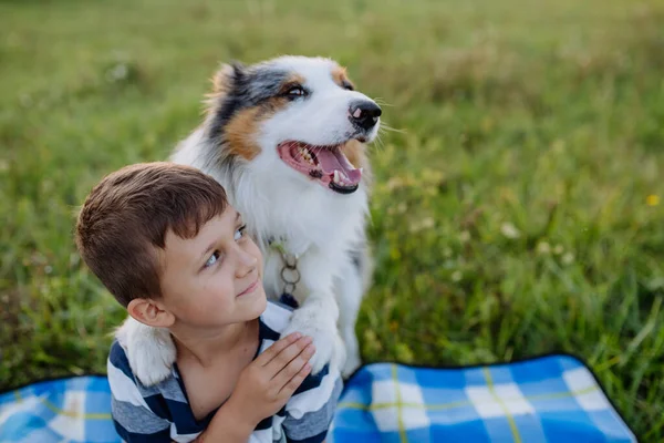 Liten Pojke Med Hund Utomhus Har Picknick — Stockfoto