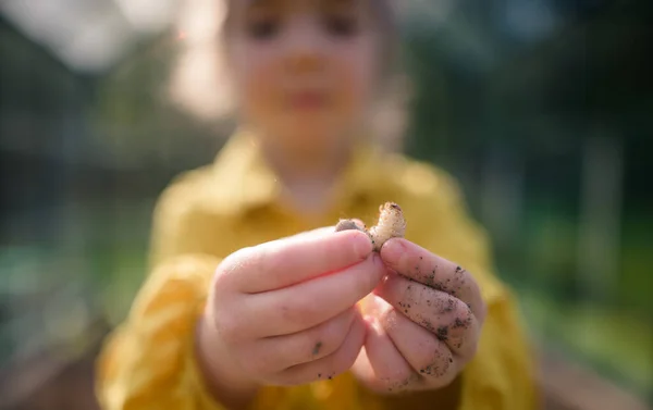 정원에서 벌레를 소녀의 — 스톡 사진