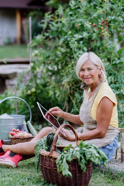 할머니는 디지털 태블릿을 사용하고 정원에서 유기농 야채의 주문을 합니다 개념이죠 — 스톡 사진