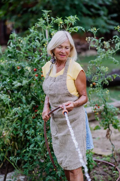 家で野菜を散水庭のシニア女性 — ストック写真