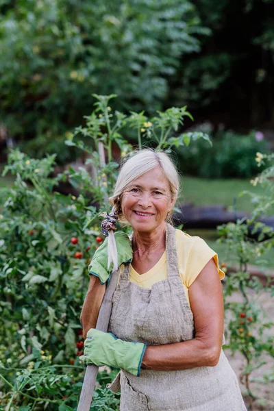 Senior Kvinna Som Har Rast Gräva Sin Grönsaksträdgård — Stockfoto