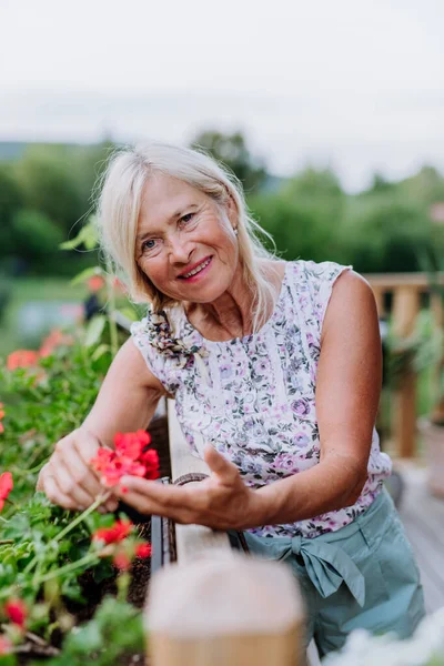 Evde Çiçeklerle Ilgilenen Yaşlı Bir Kadın — Stok fotoğraf