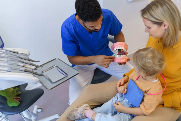 Jeune Dentiste Multiracial Montrant Une Petite Fille Comment Nettoyer Les — Photo