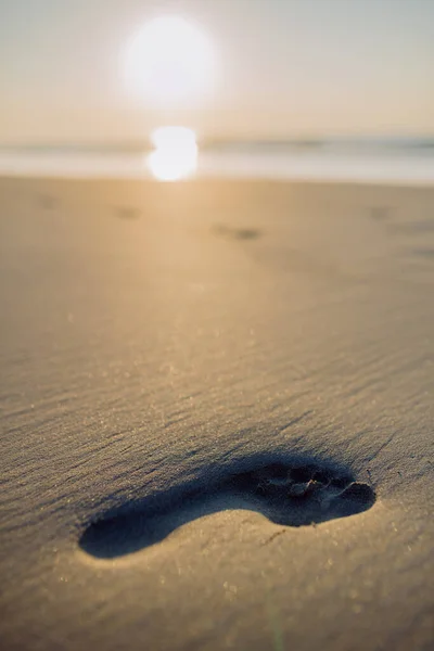 Primo Piano Impronta Una Spiaggia — Foto Stock