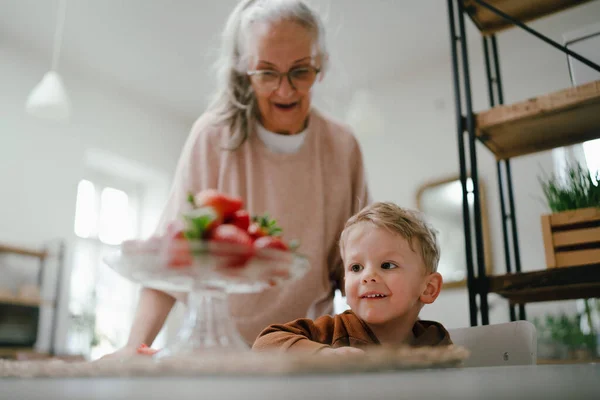 할머니는 집에서 딸기를 손자에게 — 스톡 사진