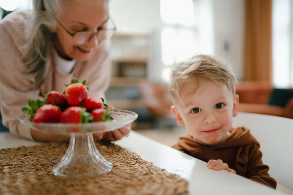 Bunica Dând Căpșuni Casă Nepotului — Fotografie, imagine de stoc