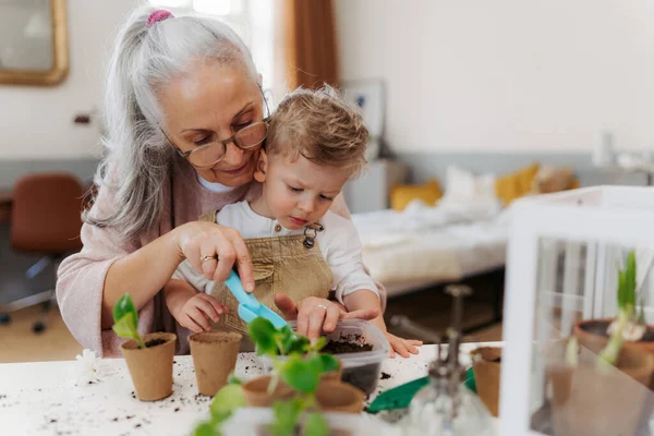 Großmutter Mit Ihrem Enkel Beim Pflanzen Von Gemüse Und Blumen — Stockfoto