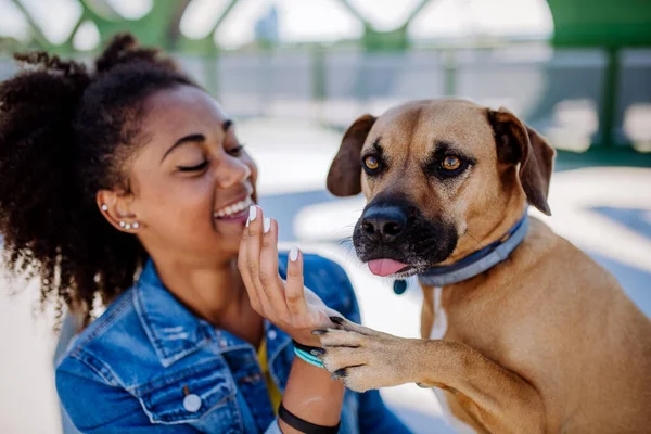 stock image Multiracial girl sitting and resting with her dog outside in the bridge, training him, spending leisure time together. Concept of relationship between a dog and teenager, everyday life with pet.