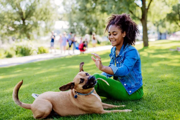 Multiracial Girl Sitting Resting Her Dog Park Training Him Spending — Foto de Stock