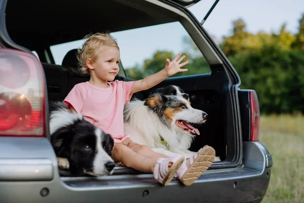 Menina Seus Cães Sentados Carro Preparados Para Uma Viagem Família — Fotografia de Stock
