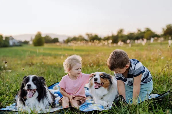 Little Children Dogs Outdoor Having Picnic — Stock Photo, Image