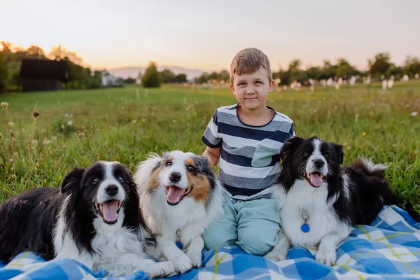 Little boy with three dogs outdoor, having picnic.