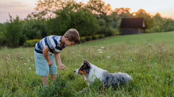 Kleine Jongen Traint Zijn Hond Natuur — Stockfoto