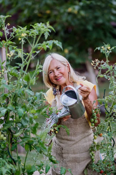 Mature Woman Garden Home Watering Vegetables — Stock fotografie