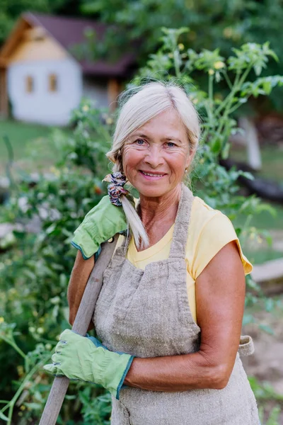 Starsza Kobieta Podczas Przerwy Podczas Kopania Ogrodu Warzywnego — Zdjęcie stockowe